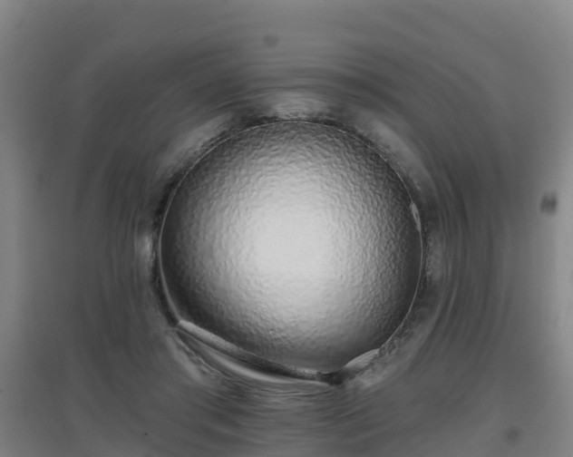 X0000096710405200802121229