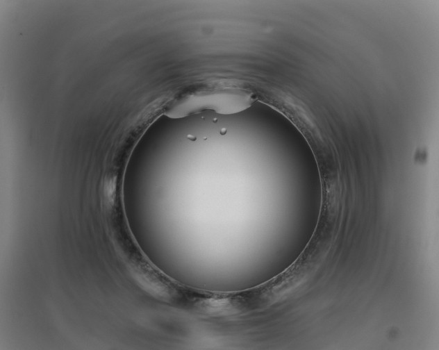 X0000096710406200802121229