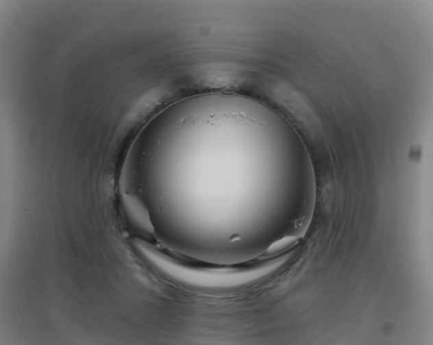 X0000096710407200802121229