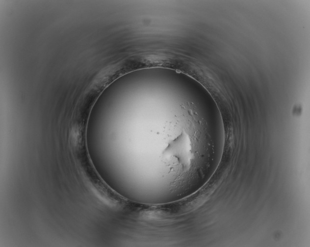 X0000096710408200802121229