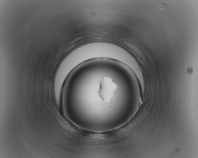 X0000096710409200802121229