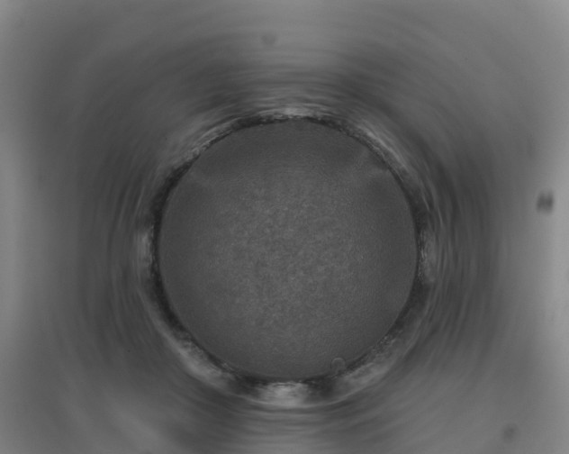 X0000096710410200802121229