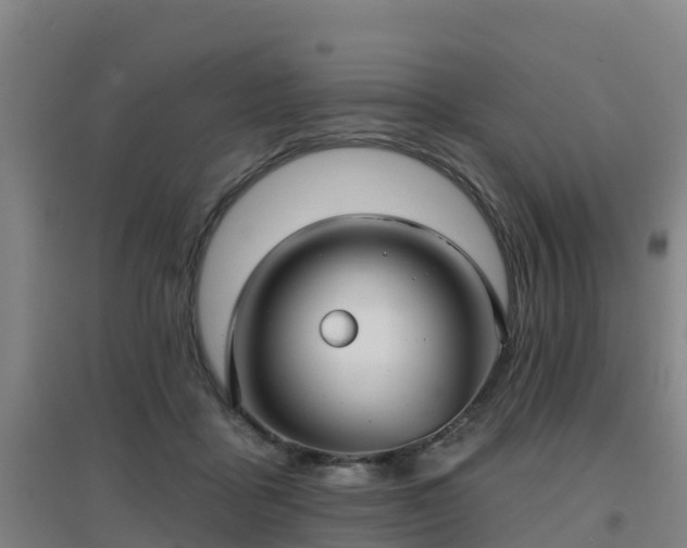 X0000096710411200802121229