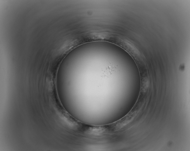 X0000096710414200802121229