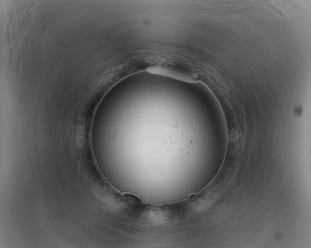 X0000096710416200802121229