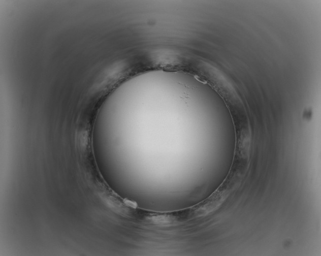 X0000096710417200802121229