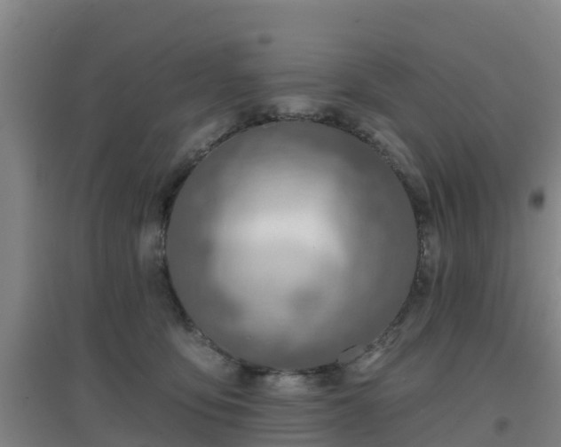 X0000096710419200802121229