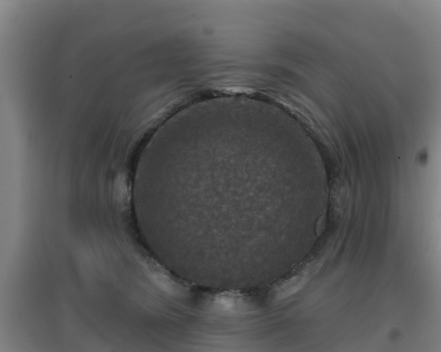 X0000096710420200802121229