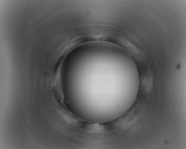 X0000096710421200802121229