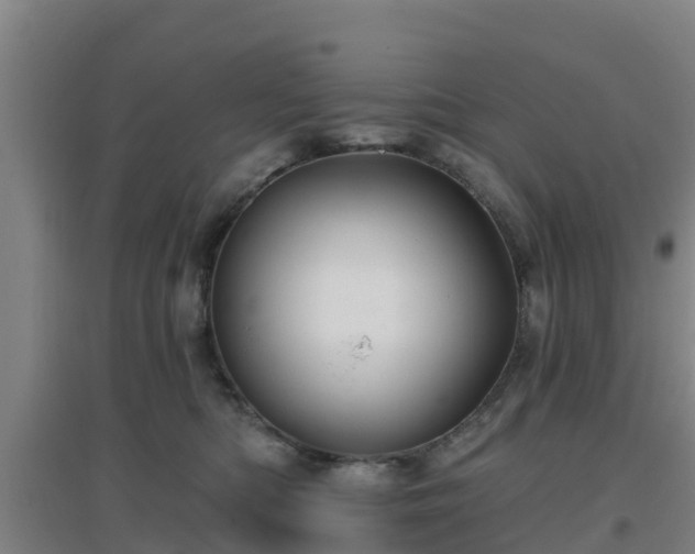 X0000096710422200802121229