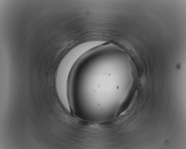 X0000096710423200802121229