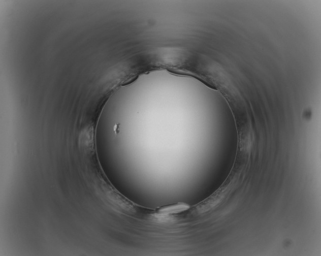 X0000096710425200802121229