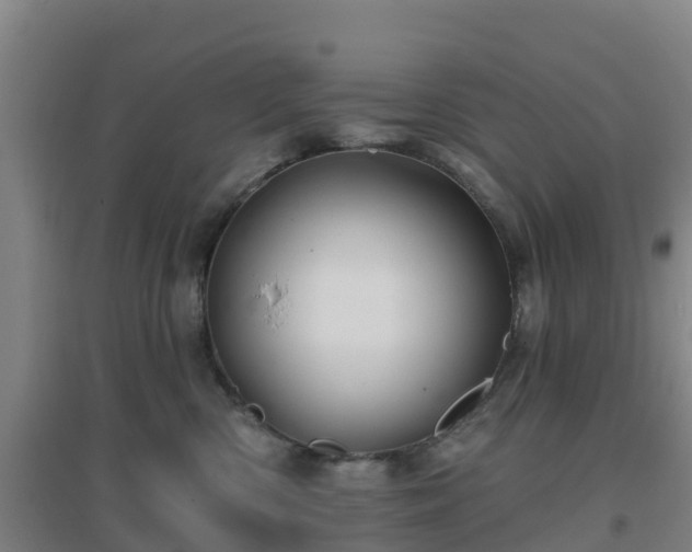 X0000096710426200802121229