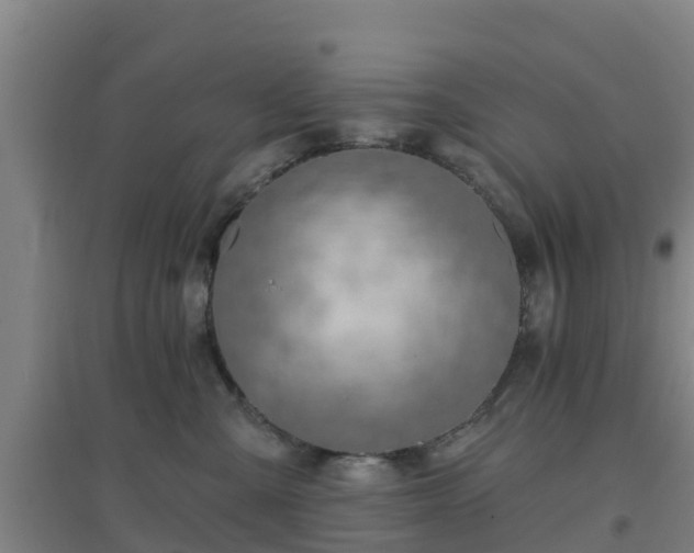 X0000096710427200802121229