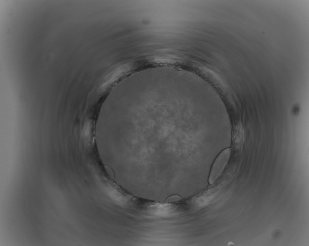 X0000096710428200802121229