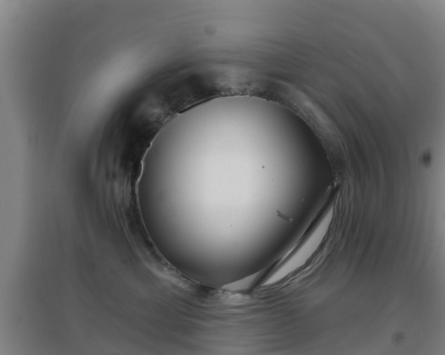 X0000096710429200802121229