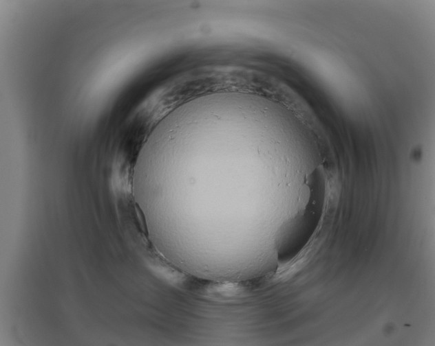 X0000096710431200802121229