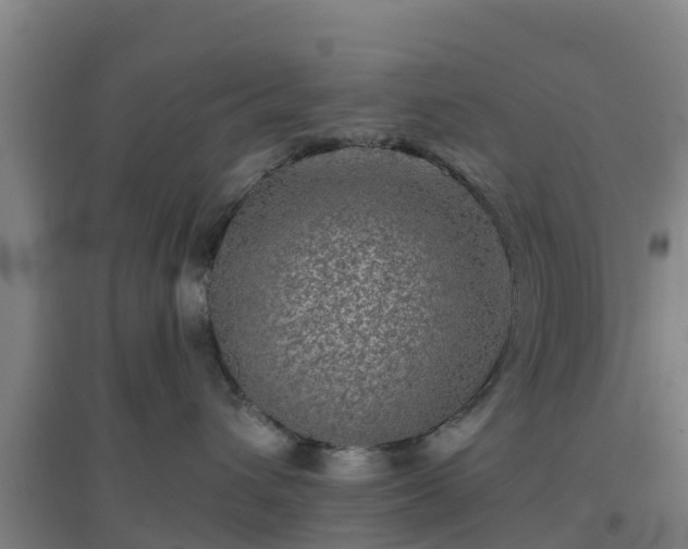 X0000096710432200802121229