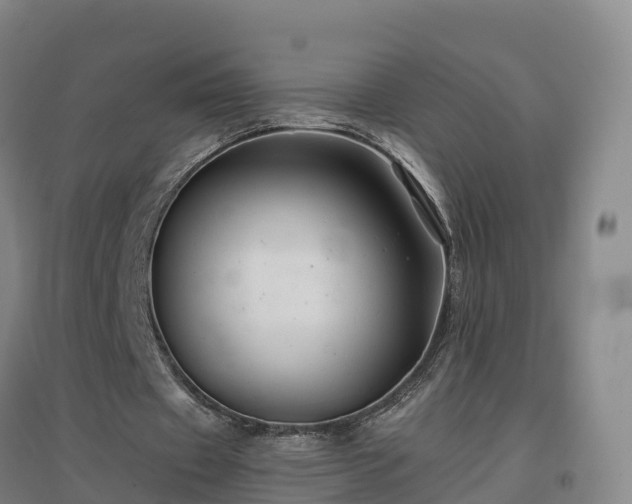 X0000096710433200802121228