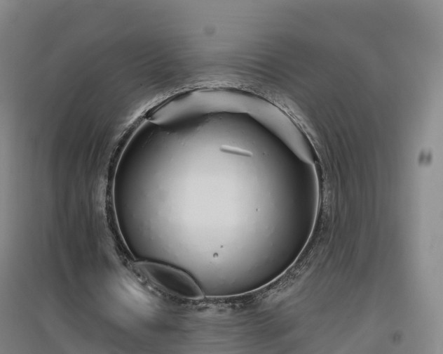 X0000096710434200802121228