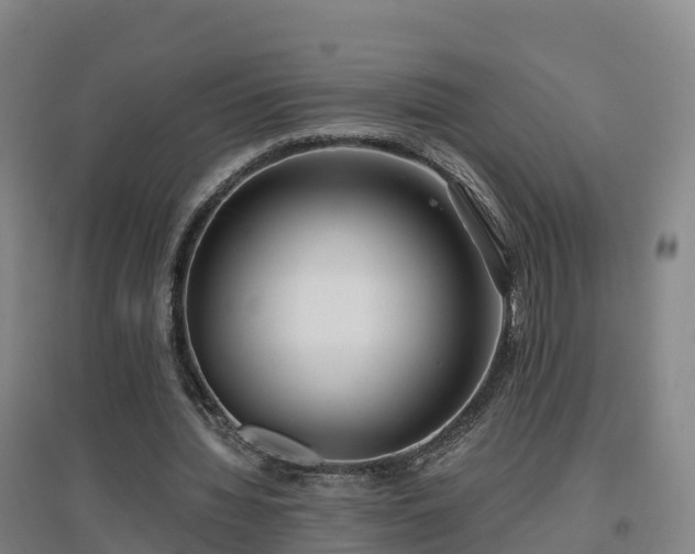 X0000096710436200802121228