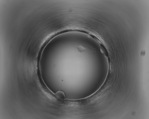 X0000096710438200802121228