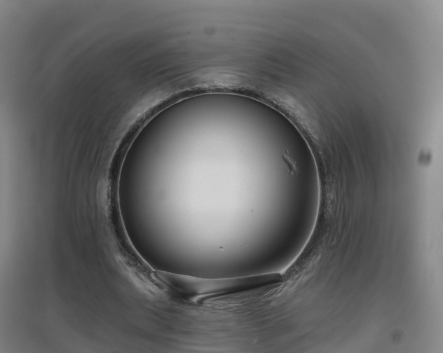 X0000096710439200802121228