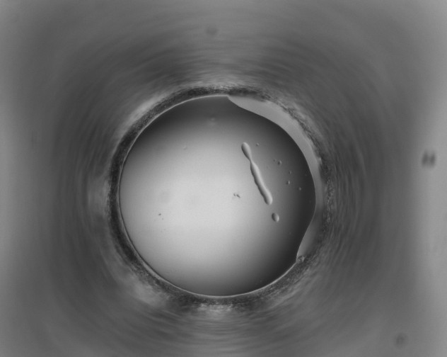 X0000096710440200802121228