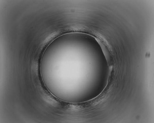 X0000096710442200802121229