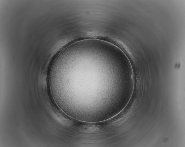 X0000096710443200802121229