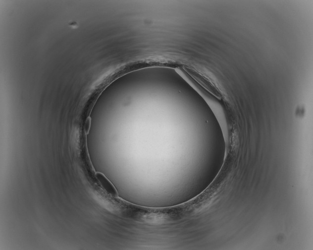 X0000096710444200802121229