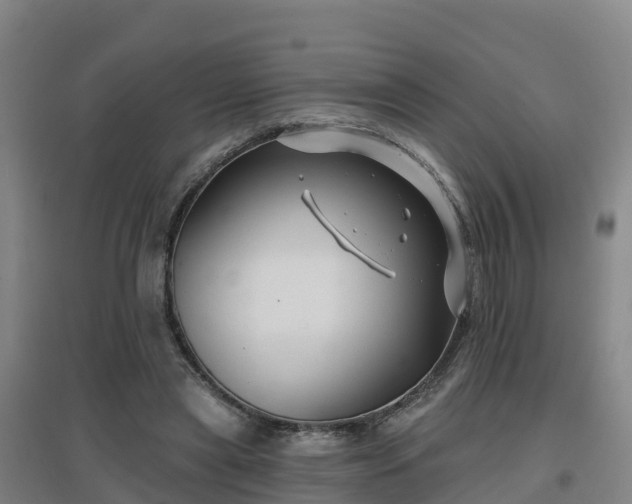 X0000096710445200802121229