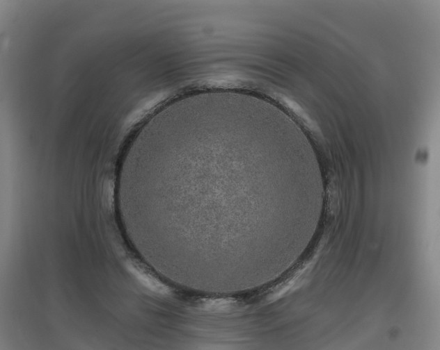 X0000096710446200802121229