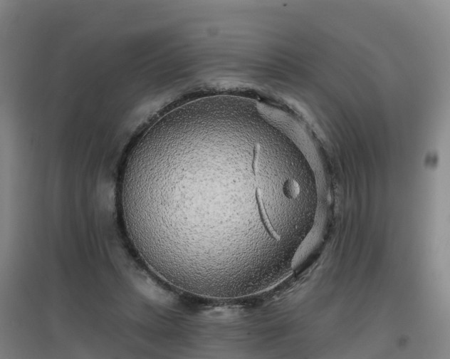 X0000096710447200802121229