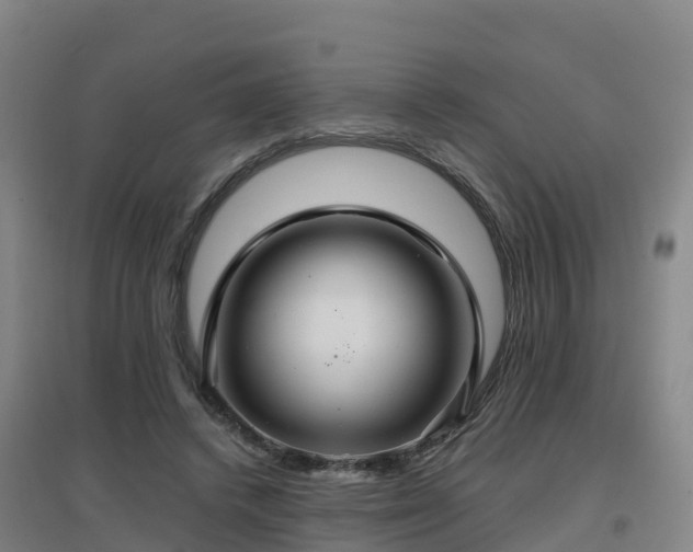 X0000096710448200802121229