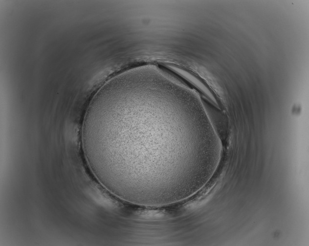 X0000096710449200802121229