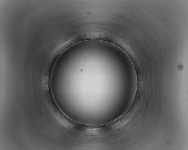 X0000096710450200802121229