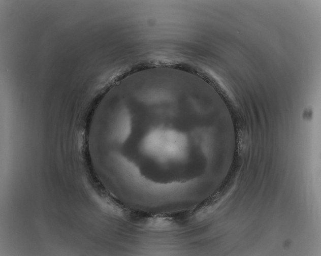 X0000096710451200802121229