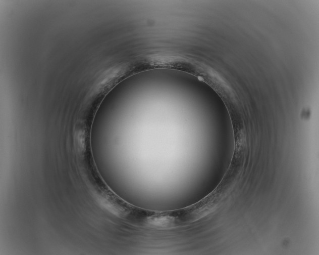 X0000096710452200802121229