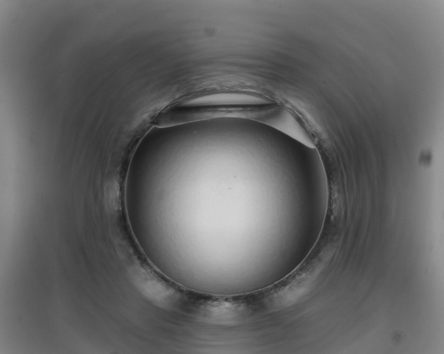 X0000096710453200802121229