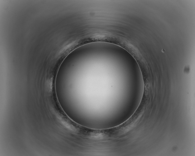 X0000096710454200802121229