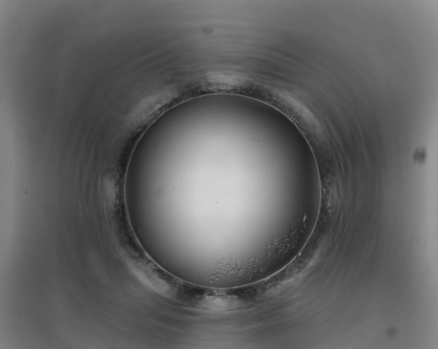 X0000096710455200802121229