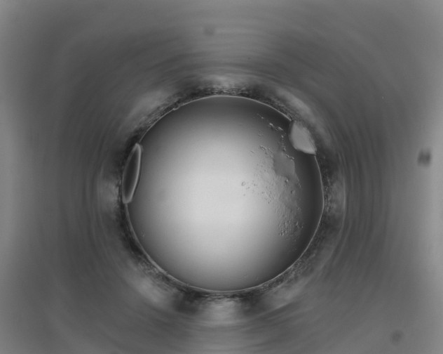 X0000096710456200802121229