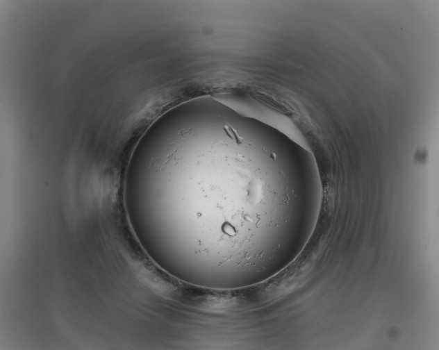 X0000096710458200802121229