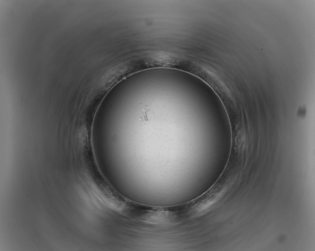 X0000096710459200802121229