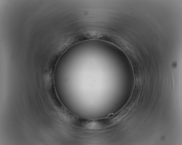 X0000096710460200802121229