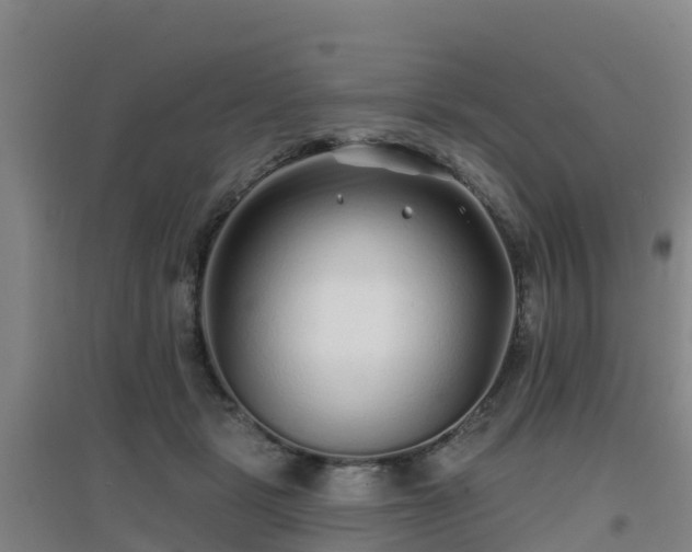 X0000096710461200802121229