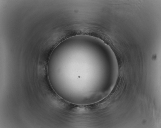 X0000096710464200802121229