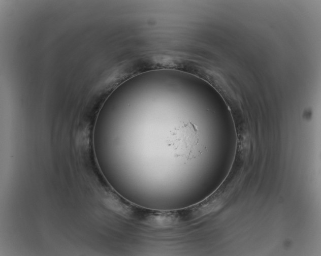 X0000096710466200802121229