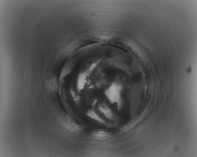 X0000096710467200802121229